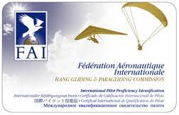 Reglamento / IPPI card 11 Ippi card 2